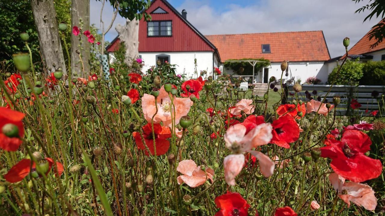Garden Mellan Slotten Svarte Exterior photo